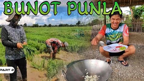 Punla ng Buhay .
